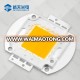 Super Brightness LM-80 Approved 50W COB LED 120-130LM/W LED